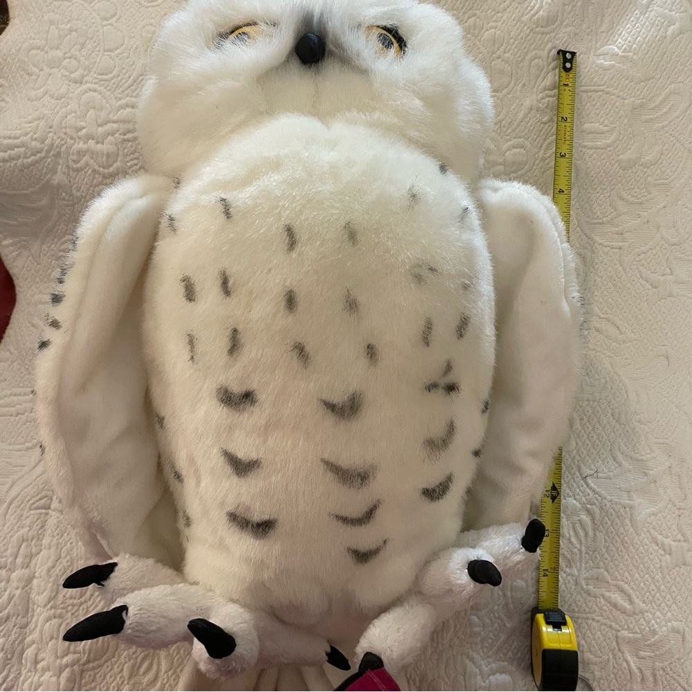 Mack the owl